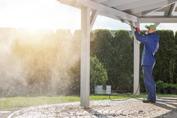 Solar Panel Cleaning in Carterville, MO